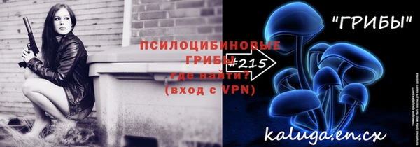 ГАЛЛЮЦИНОГЕННЫЕ ГРИБЫ Балахна