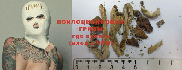 ГАЛЛЮЦИНОГЕННЫЕ ГРИБЫ Балахна