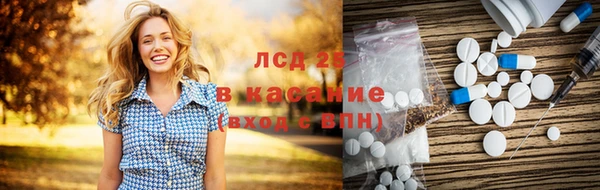 ГАЛЛЮЦИНОГЕННЫЕ ГРИБЫ Балахна