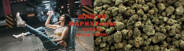 ГАЛЛЮЦИНОГЕННЫЕ ГРИБЫ Балахна