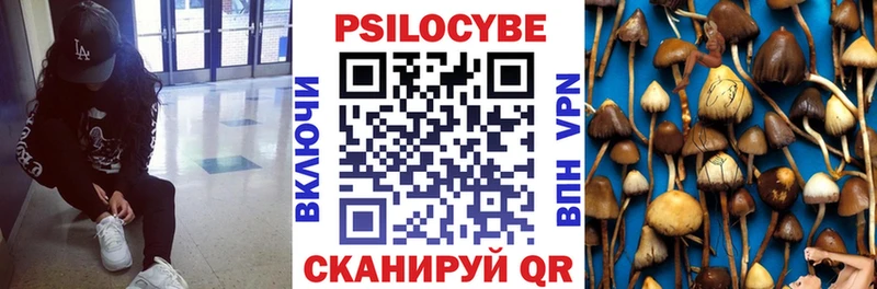 где можно купить наркотик  Валдай  Псилоцибиновые грибы MAGIC MUSHROOMS 